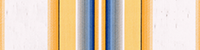 salvador stripe